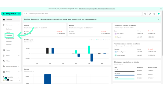accederfiltrertimesheet02